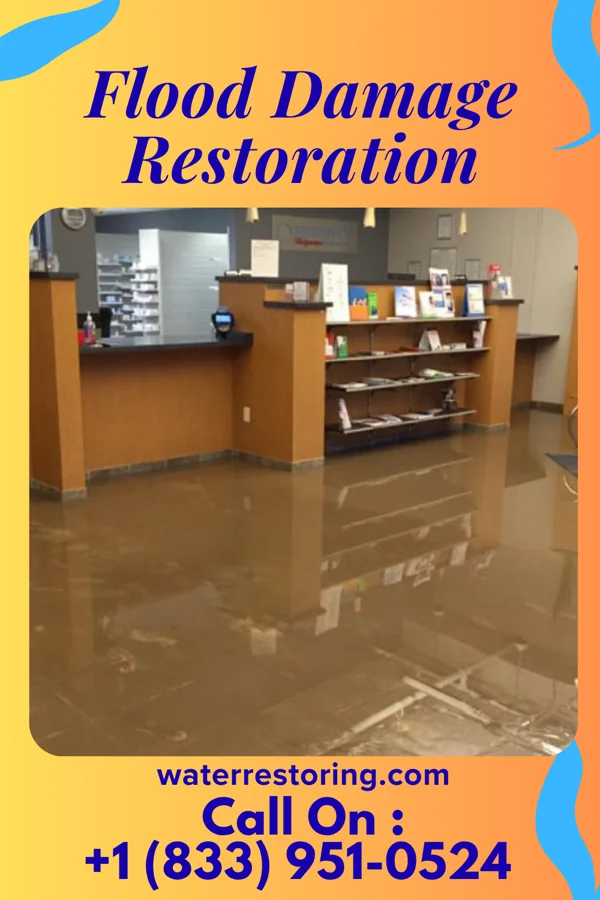 Flood Damage Restoration in White Stone, VA