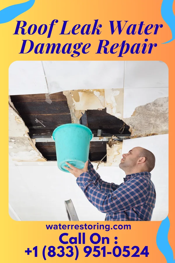Roof Leak Water Damage Repair in White Stone, VA