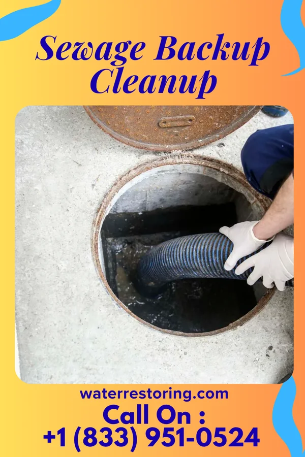 Sewage Backup Cleanup in White Stone, VA